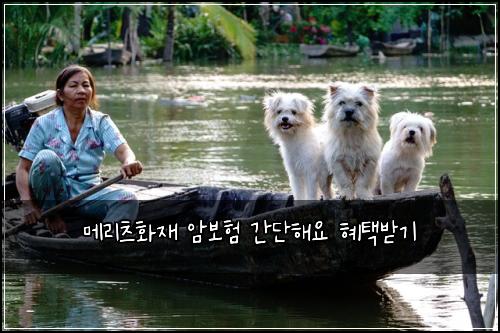 ๋ฉ๋ฆฌ์ธ ํ์ฌ ์๋ณดํ ๊ฐ๋จํด์ ํํ๋ฐ๊ธฐ