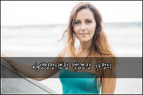 aig생명정기보험 핵심보장  가정의