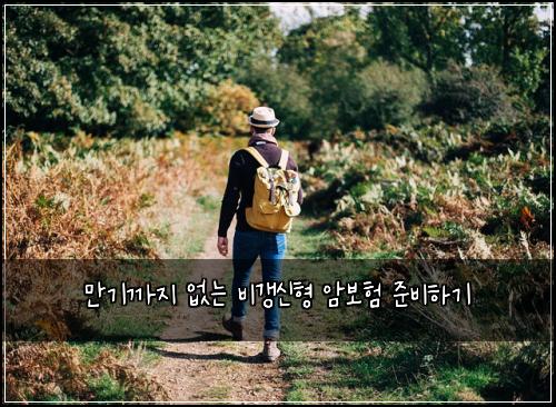 만기까지 없는 비갱신형 암보험 준비하기