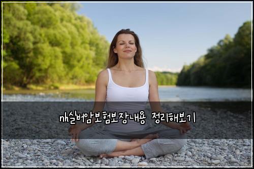 nh실버암보험보장내용 정리해보기