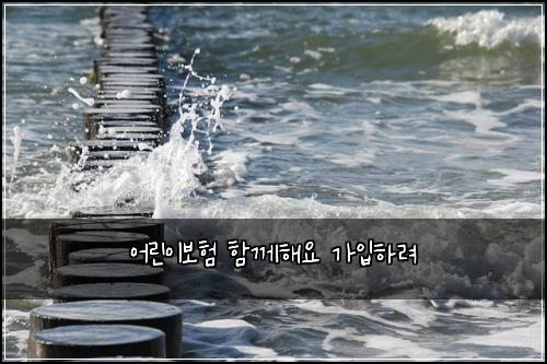 어린이보험 함께해요  가입하려
