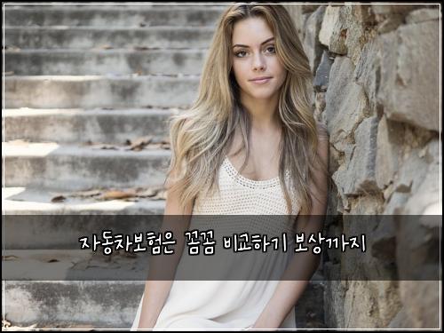 자동차보험은 꼼꼼 비교하기 보상까지