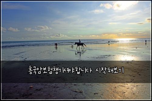 흥국암보험챙기셔야합니다 시작해보기