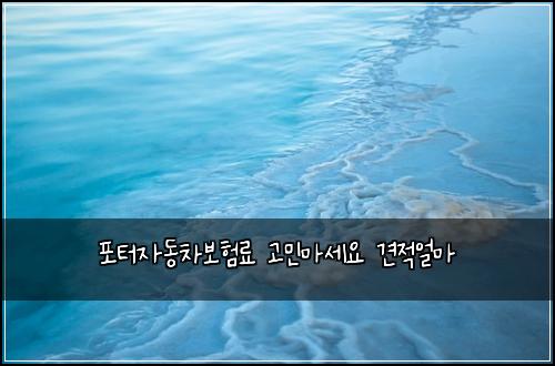 포터자동차보험료 고민마세요 견적얼마