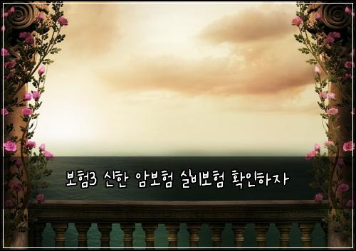 ๋ณดํ3 ์ ํ ์๋ณดํ ์ค๋น๋ณดํ ํ์ธํ์