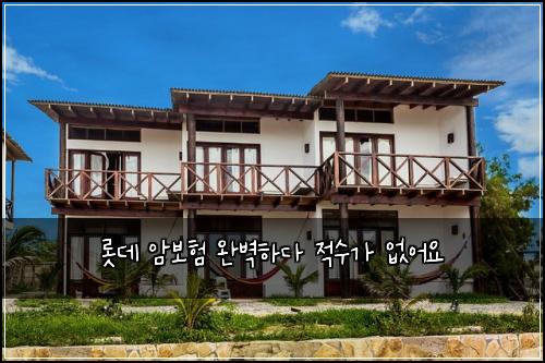 롯데 암보험 완벽하다  적수가 없어요