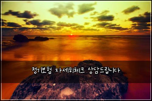 정기보험 자세히체크  상담드립니다