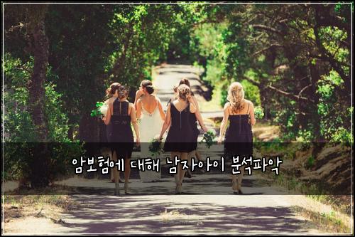 ์๋ณดํ์ ๋ํด ๋จ์์์ด ๋ถ์ํ์