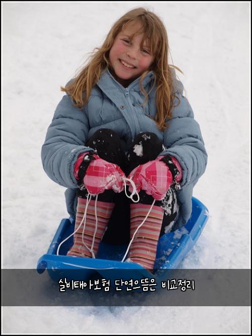 실비태아보험 단연으뜸은  비교정리