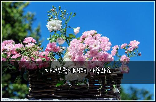 자녀보험에대해 내용봐요