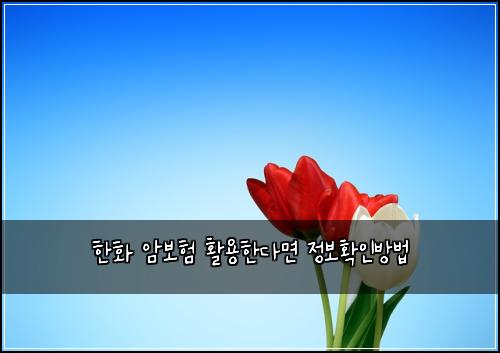 한화 암보험 활용한다면  정보확인방법
