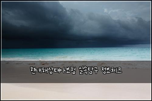 현대해상태아보험 실속탐구  정보체크