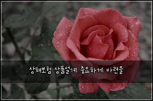 상해보험 상품설계  중요하게 마련을