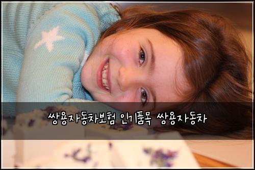 쌍용자동차보험 인기품목  쌍용자동차
