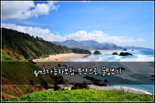 qm3์๋์ฐจ๋ณดํ ํน์ฝ์ผ๋ก ๊ฟํ๋ณด๊ธฐ