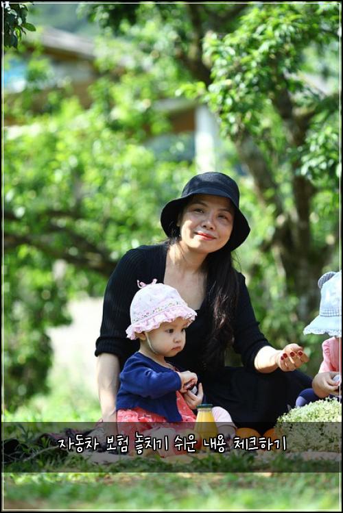 자동차 보험 놓치기 쉬운 내용 체크하기