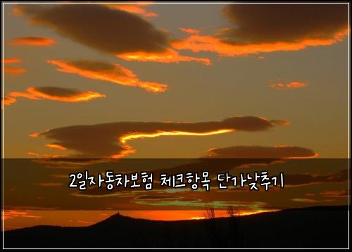 2일자동차보험 체크항목  단가낮추기