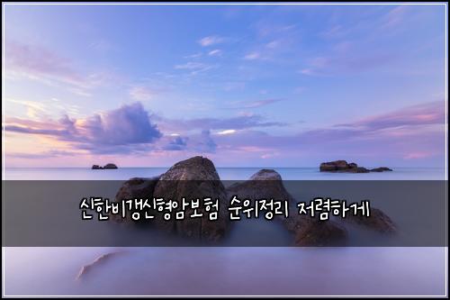 신한비갱신형암보험 순위정리  저렴하게