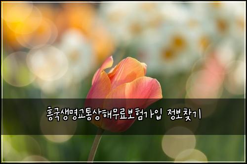 ํฅ๊ตญ์๋ช
๊ตํต์ํด๋ฌด๋ฃ๋ณดํ๊ฐ์
์ ๋ณด์ฐพ๊ธฐ