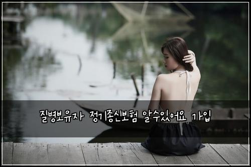 질병보유자 정기종신보험 알수있어요  가입