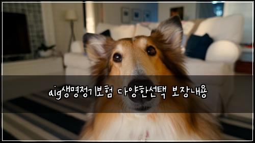 aig생명정기보험 다양한선택  보장내용