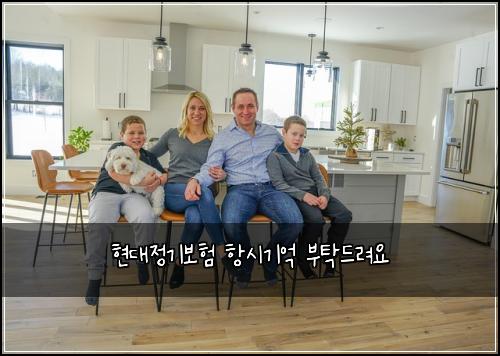 현대정기보험 항시기억  부탁드려요
