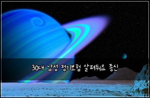 30대 남성 정기보험 살펴둬요  종신