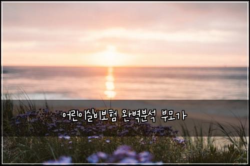 ์ด๋ฆฐ์ด์ค๋น๋ณดํ ์๋ฒฝ๋ถ์ ๋ถ๋ชจ๊ฐ