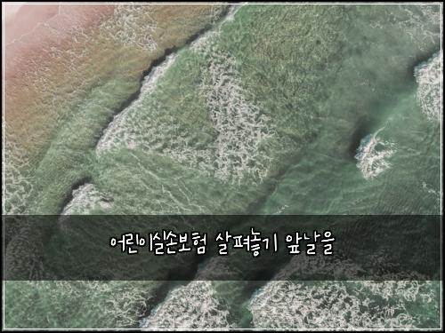 어린이실손보험 살펴놓기  앞날을