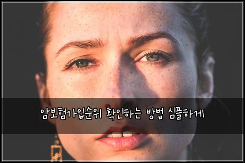 암보험가입순위 확인하는 방법 심플하게