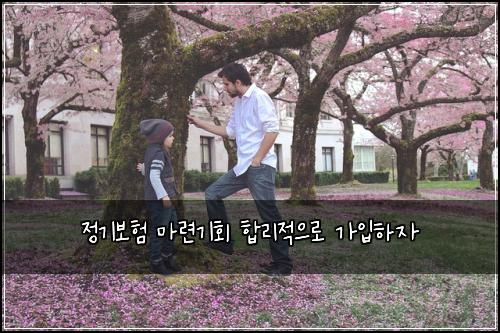 정기보험 마련기회  합리적으로 가입하자