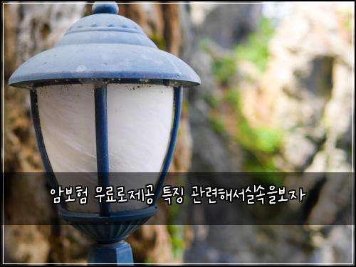암보험 무료로제공  특징 관련해서실속을보자