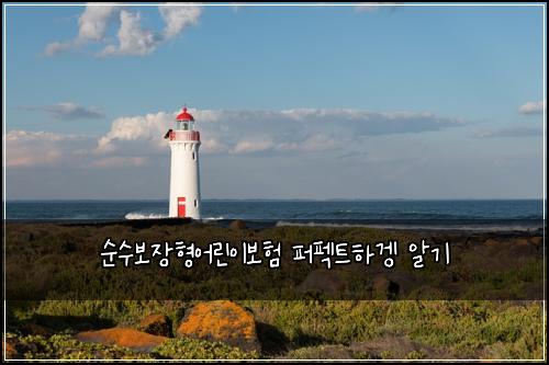 순수보장형어린이보험 퍼펙트하겡  알기
