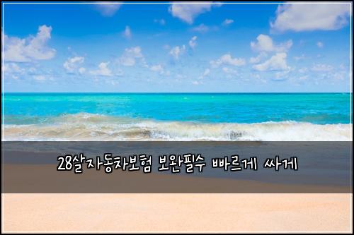 28살자동차보험 보완필수  빠르게 싸게