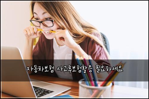 ์๋์ฐจ๋ณดํ ์ฌ๊ณ ํ๋ณดํํ์ฆ ํ์ํ์ธ์