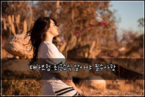 태아보험 최근소식  알아야 필수사항