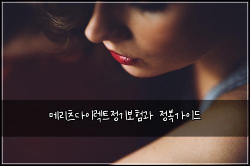 메리츠다이렉트정기보험과 정복가이드